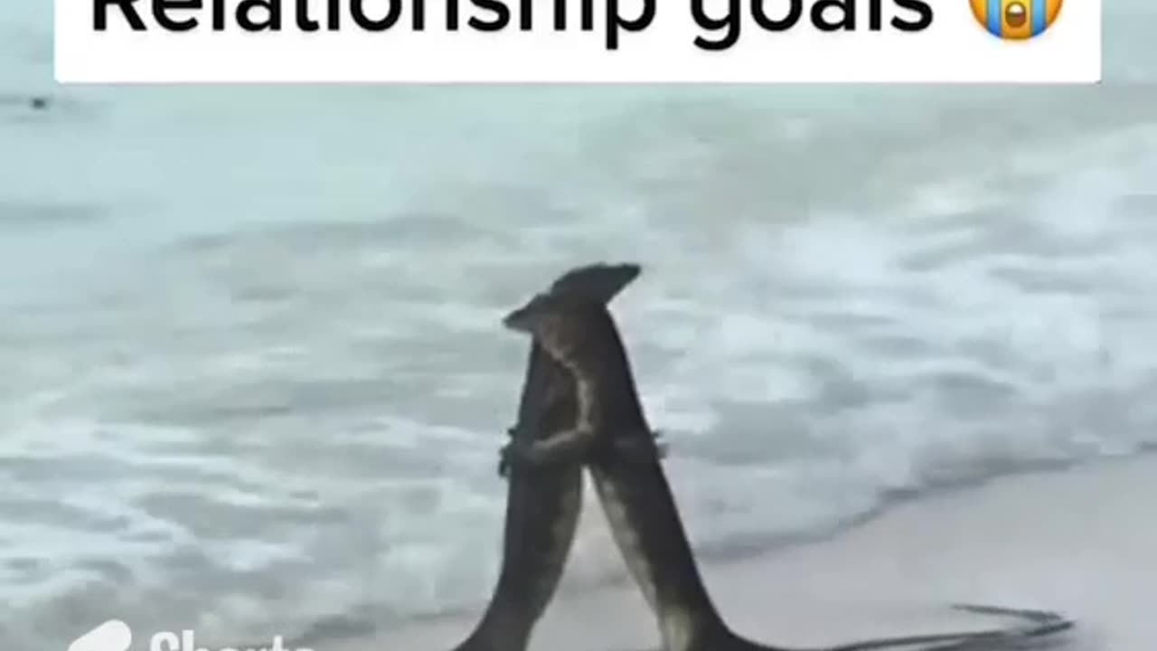 Relationship Goals #shorts #viral #shortsvideo #video