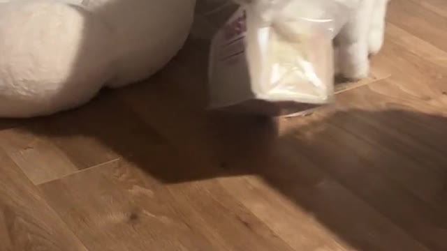 He wants some toast