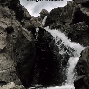 Would you like to travel?