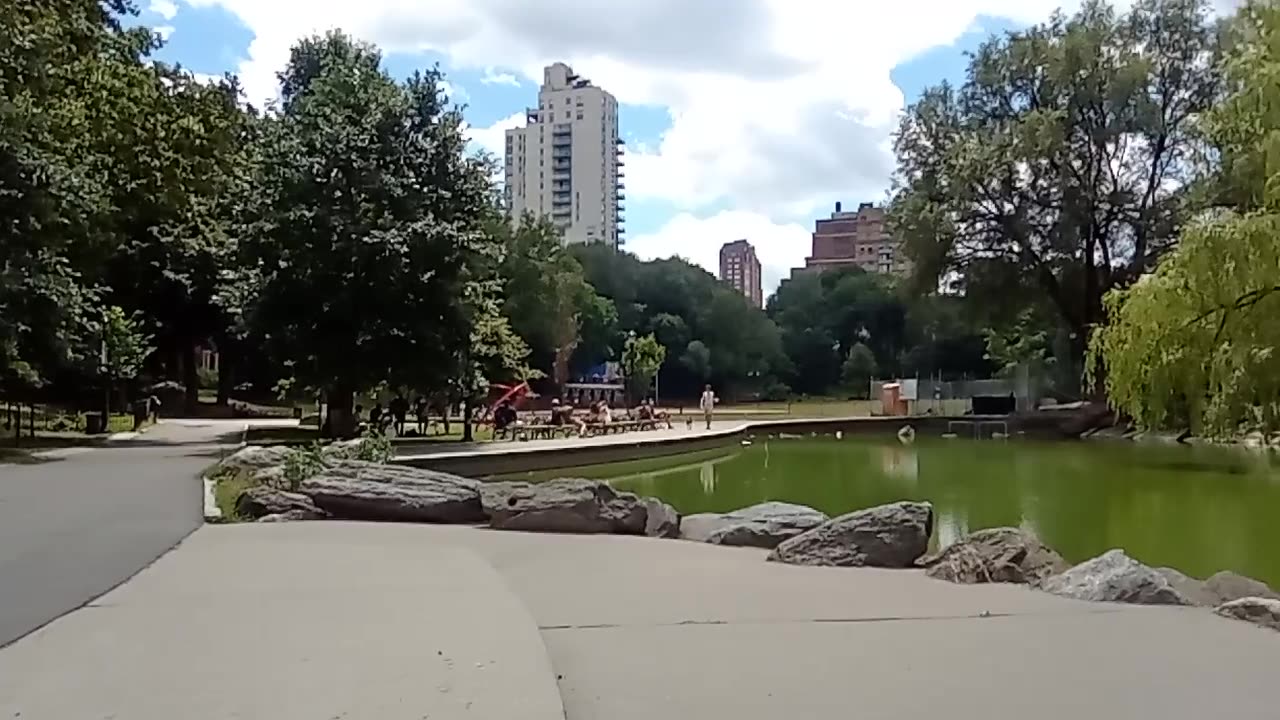An Afternoon In A Manhattan Park