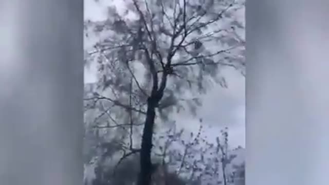 Russian jet attack ukraine