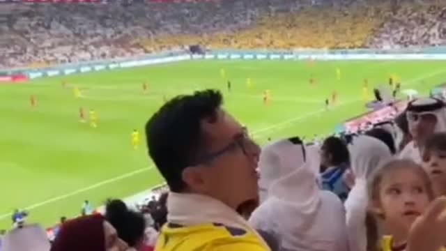 This Ecuador fan had something to say about that offside decision