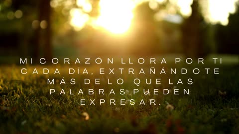 LLORAR