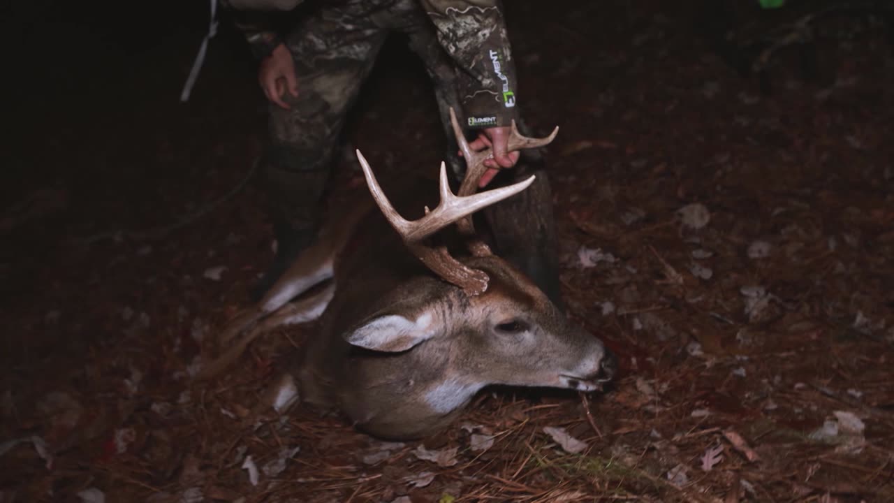 Bowhunting in Georgia