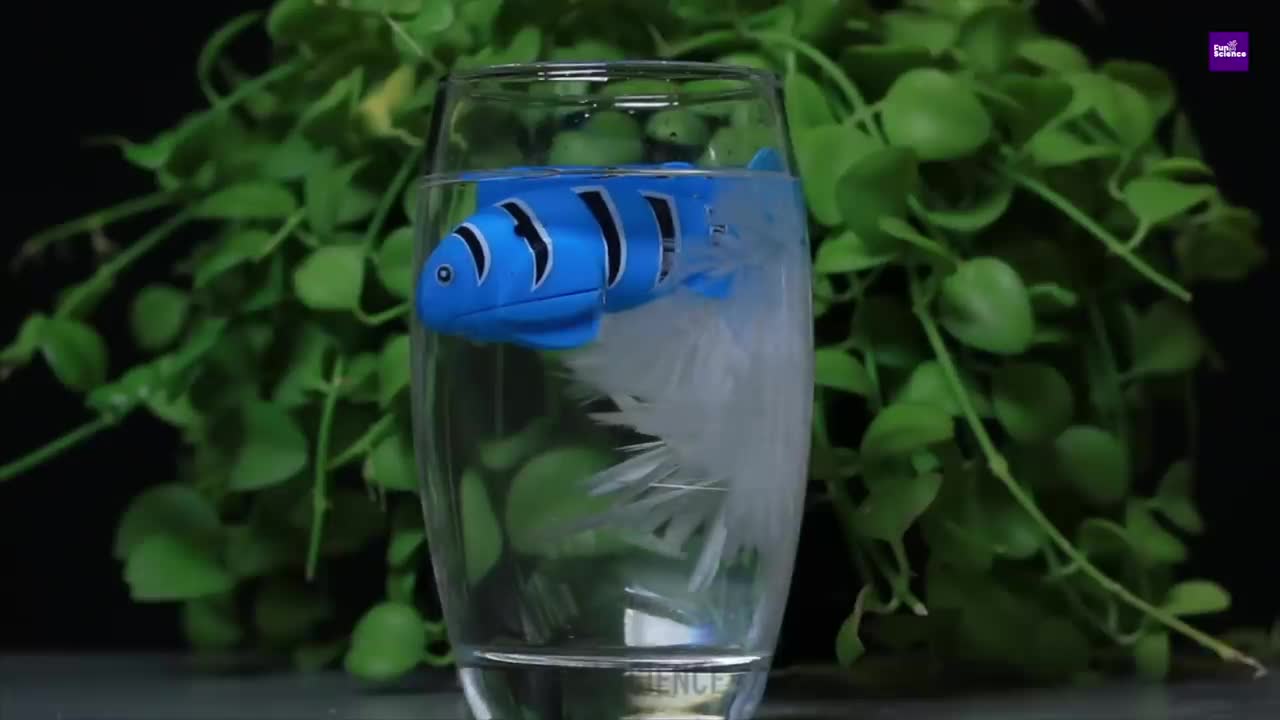 AMAZING SCIENCE EXPERIMENTS!