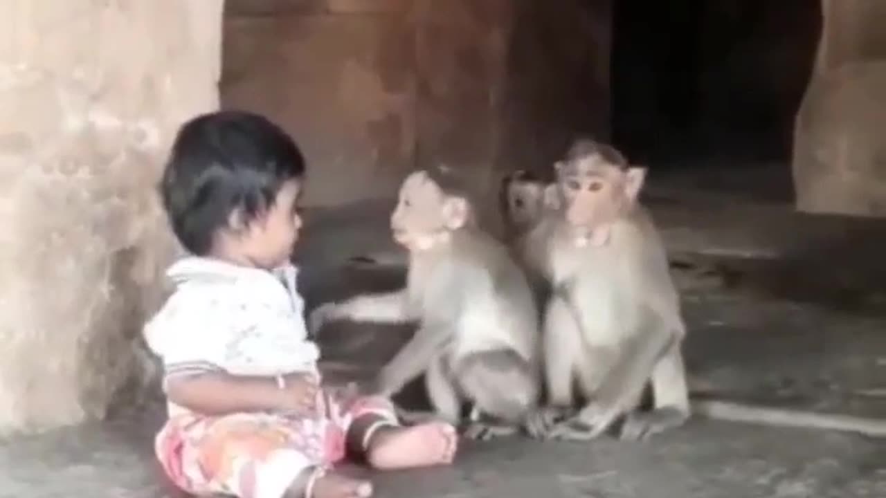 Monkeys Came To Visit His Little Friend #shorts #viral #shortsvideo #video