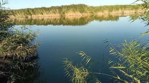 Fishing. There is fish!