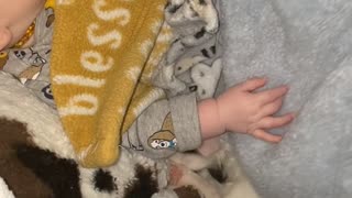 Baby and Kitten Cuddle to Stay Warm During Ice Storm