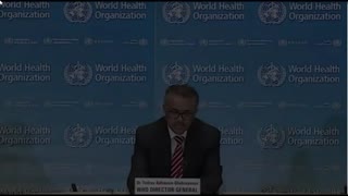 The corruption of the World Health Organization