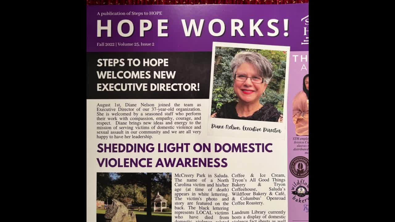 SWN - Monetizing Domestic Violence and Abuse