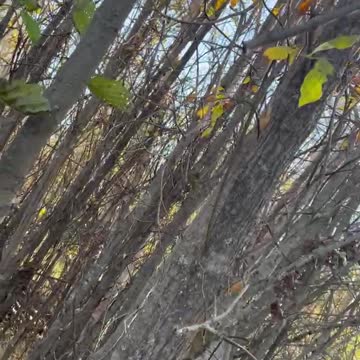 It’s tough to get started…