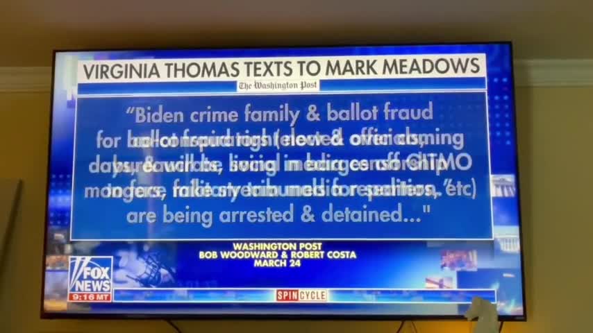 VIRGINIA THOMAS' NOV. 2020 TEXTS TO MEADOWS