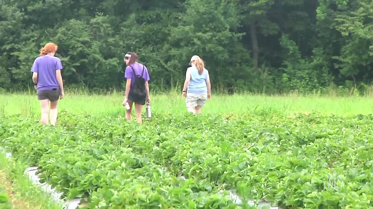 Louisiana Sustainable Agriculture Research and Education Program Host Farm Tour