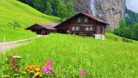 Morning in Switzerland 🇨🇭 Joy Funny Factory