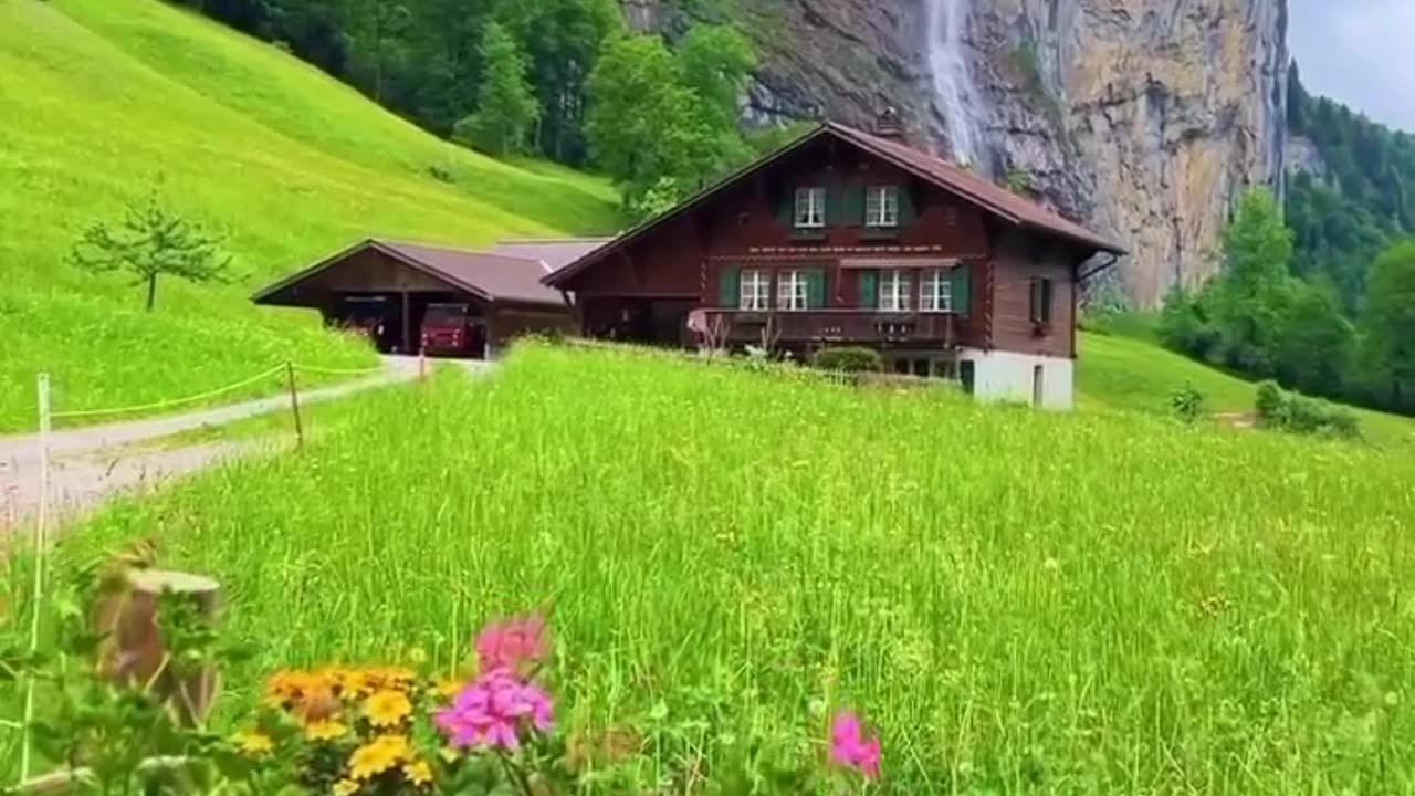 Morning in Switzerland 🇨🇭 Joy Funny Factory