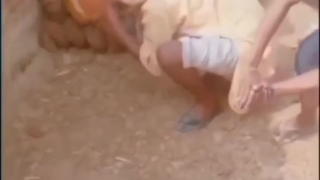 That snake killer 🤣🤣
