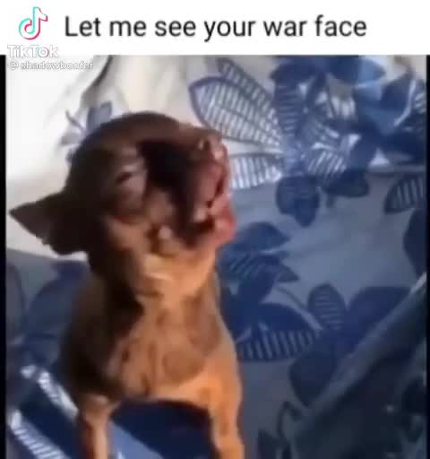 Let me see your war face!