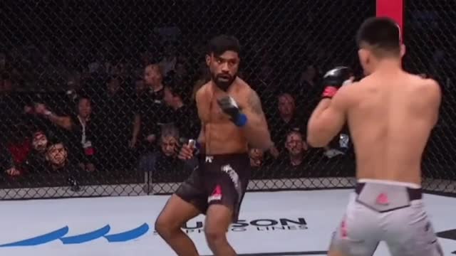 UFC Chinese Fighting Forces and New Era Idols