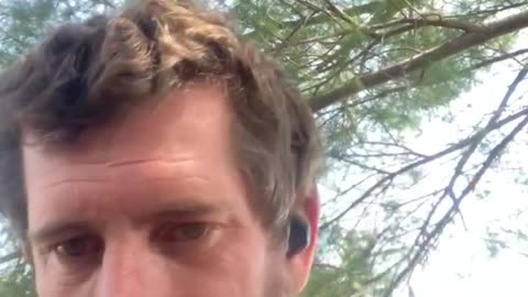 I mean seriously white people look more revolutionaries than minorities do right now