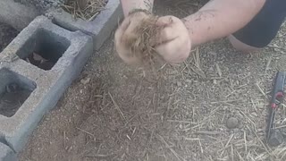 1st video, cedar fire starter