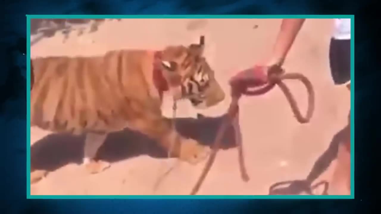 Você Pensaria Que Já Viu Tudo, Se Isso Não Tivesse Sido Filmado
