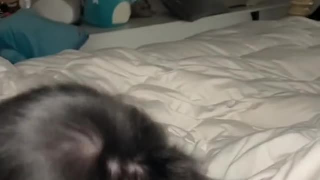 He’s crazy when he wants to be