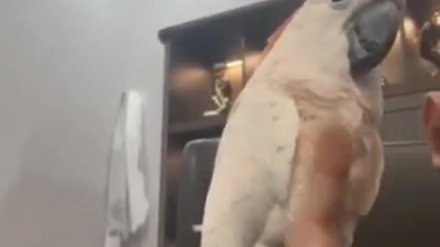 Filming the Speed of Light at 10 Trillion FPS