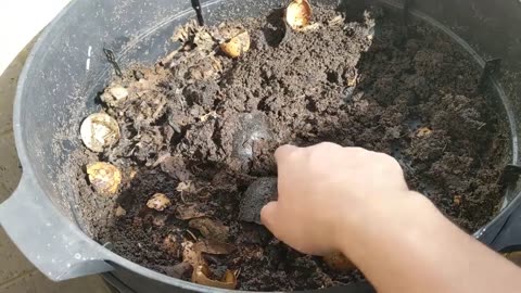 Can O Worms New Tray Update 24 Sep 2022
