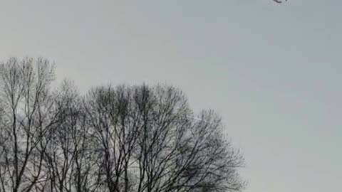 Jan 22 2024 - Nancy Drew At The Capitol . Nothing To See Here, Other then Military Helicopters