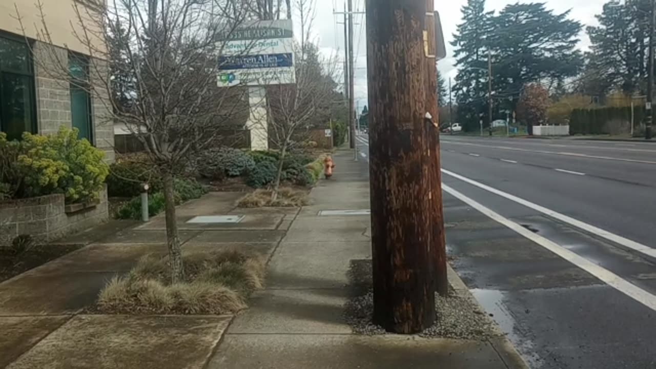 BEWARE WARNING AZIZONA MUST SEE