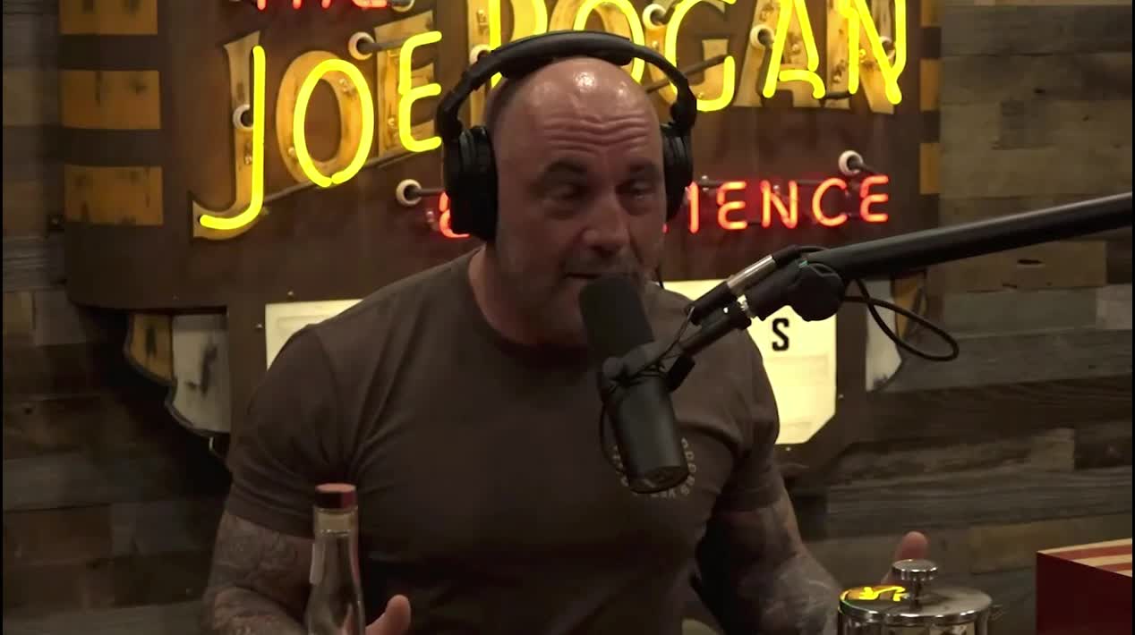 Where Are The ROUTERS? Rogen Drops TRUTH Bombs!/ Legal Eagle DREAM TEAM