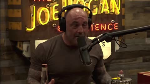 Where Are The ROUTERS? Rogen Drops TRUTH Bombs!/ Legal Eagle DREAM TEAM