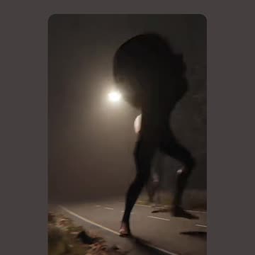 Bizarre creatures run away from giants in the middle of the road at night... - SURREAL!