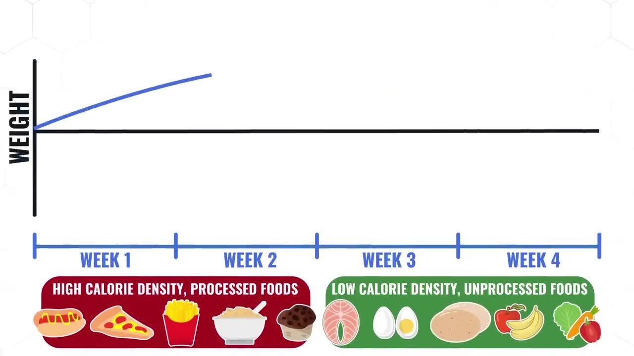 How To Eat To Lose Belly Fat (3 STAGES!