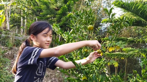 新年快樂