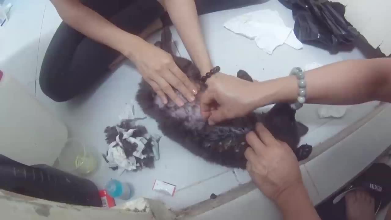 HOW CAN I REMOVE TRAP GLUE FROM THE DOG'S FUR#