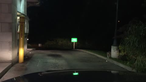 Raccoons Get Drive-Thru Treat