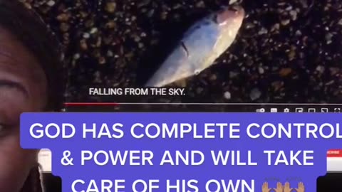 It was raining Fish