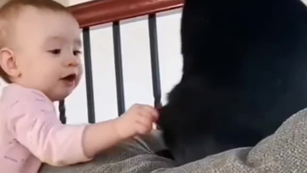 Baby and cat 😺 funny moments 🤣