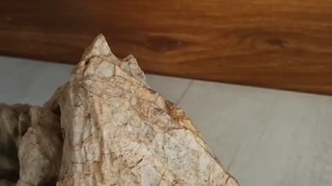 rock like mountain
