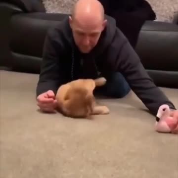 Why is every dad like this with the dog 🐶 lol