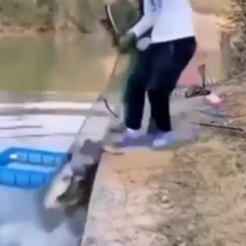Woe, the fishermen caught a whole net of fish and it broke