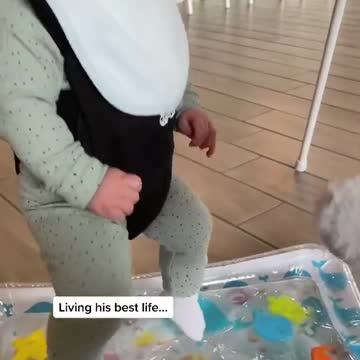 compilation | baby animals 79 | cute animals 79 | kids #shorts