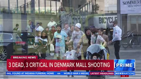 3 dead, 3 critically wounded in shooting at Denmark mall | NewsNation Prime