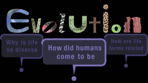 Evolution [ MIRROR ]