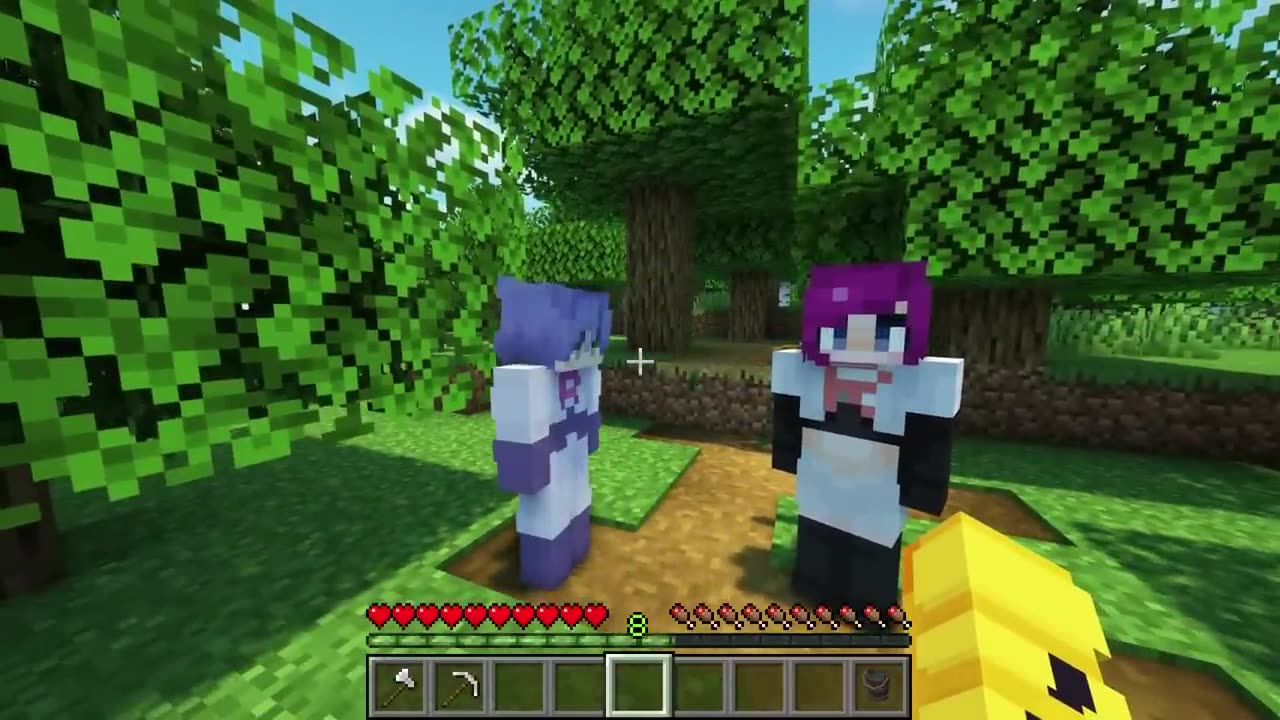 Solved Minecraft's most u answered questions