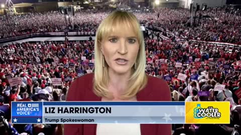 Liz Harrington on AZ Audit Heading