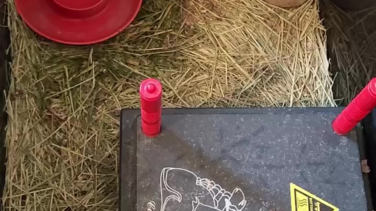 Sometimes Things Don't Go As Planned