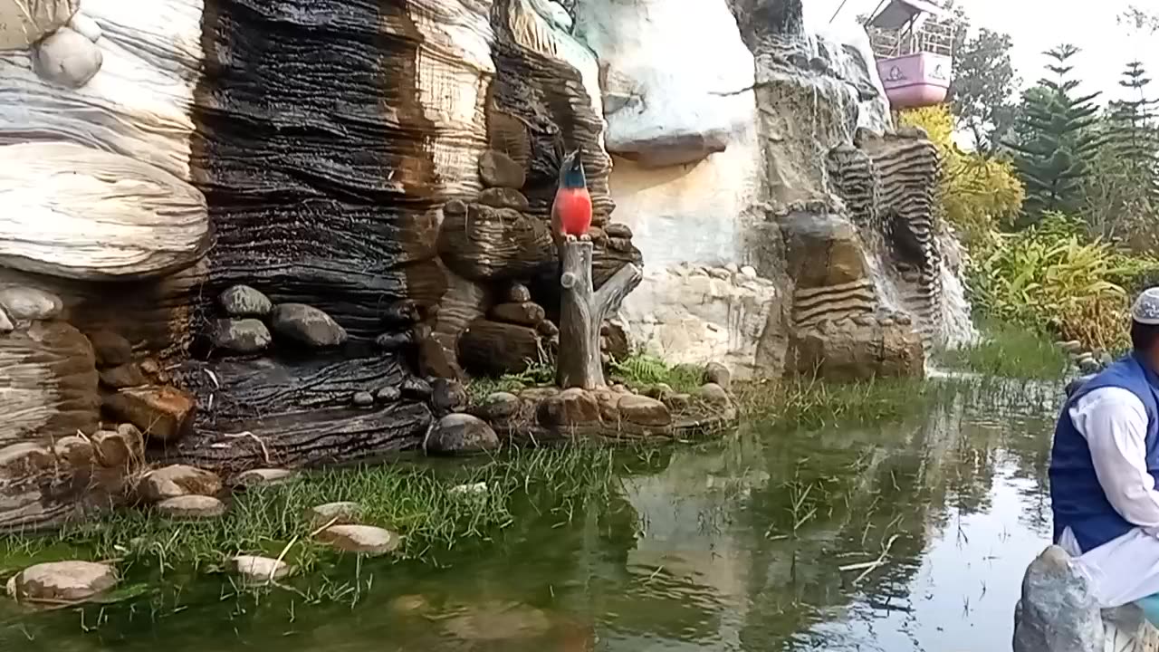 Adventure