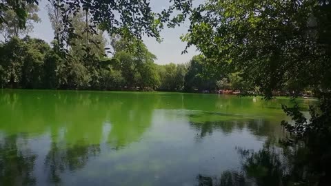 Nature is soothing